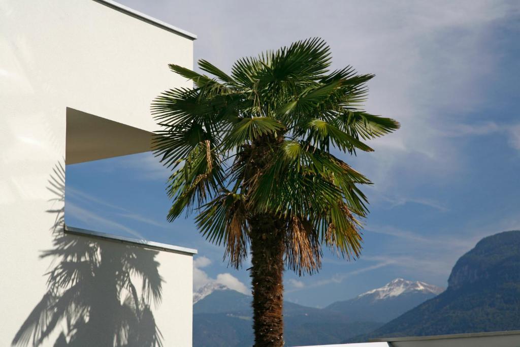 Hotel Residence Pernhof Termeno Εξωτερικό φωτογραφία